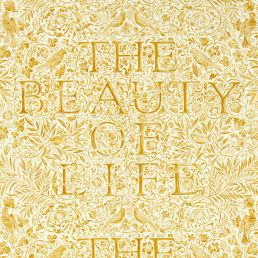 The Beauty of Life Wallpaper