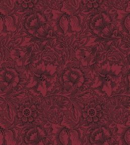 Poppy Wallpaper