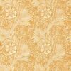 Marigold Wallpaper