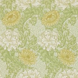Chrysanthemum Wallpaper
