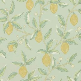Lemon Tree Wallpaper