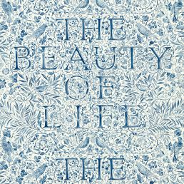 The Beauty of Life Wallpaper